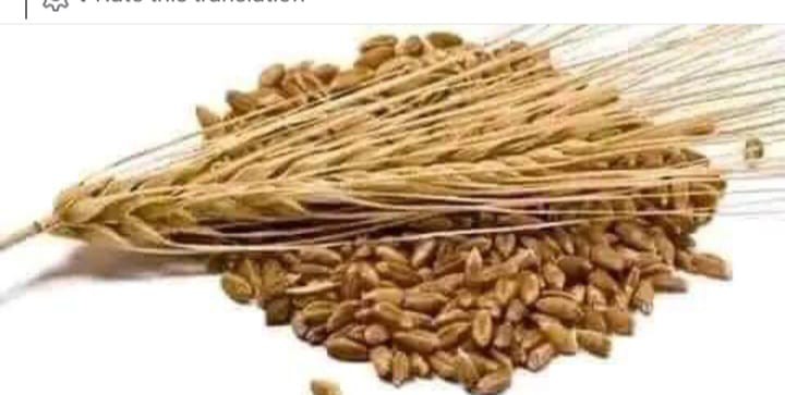 BENEFITS OF BARLEY’.